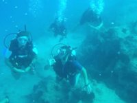 Kaş'ta yılda 80 bin dalış yapılıyor