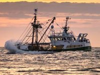 Göçmen kurtarma gemisinin Midilli'ye yanaşmasına izin verilmedi