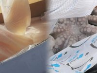 Muğla’da 15 bin TL değerinde kaçak deniz ürünü ele geçirildi