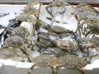 Denizi olmayan kentte yengece rağbet arttı