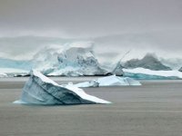 Burcu Özsoy: Antarktika'daki buz kopmasının iklim değişikliyle ilgisi yok