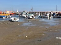 Marmaraereğlisi’nde deniz 15 metre çekildi