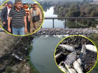 Susurluk Çayı’nda toplu balık ölümleri yaşandı