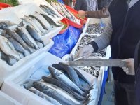 Van Gölü’nde su ürünleri denetimleri yapıldı