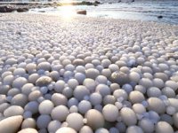Hailuoto Adası sahili yumurta şeklinde buz toplarıyla kaplandı