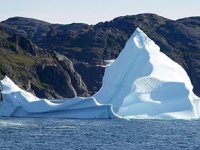 11 bin bilim adamından iklim krizi uyarısı geldi