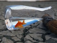 Dünya iklim değişikliğine ayak uyduramıyor