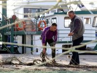 İğneadalı balıkçılar dört gözle havaların soğumasını bekliyor