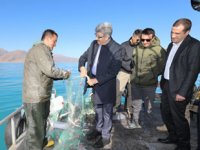 Van Gölü'nden ekmek yiyen insan sayısı 25 bine çıkabilir