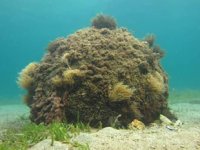 Çanakkale'de 1. Dünya Savaşı'ndan kalma mühimmat imha edildi