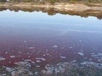 Kalp şeklindeki pembe gölde araştırma çalışmaları başladı