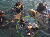 Sinop'ta hemşire adayları denizde temizlik yaptı