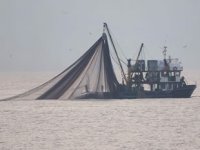 Zonguldak'ta aradığını bulamayan balıkçılar, Hopa'ya yöneldi