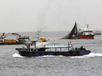 Balıkçı tekneleri, Giresun açıklarında görsel şölen oluşturdu