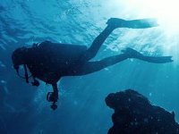 Dalış turizminin değişmeyen adresi 'Kaş' oldu