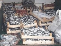 Erdek’te kaçak trol avcılığına ceza yağdı