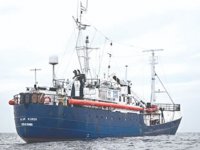 İtalya'dan 'Alan Kurdi' ve 'Ocean Viking' gemilerine izin çıktı