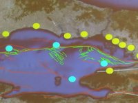 Trolle avlanan balıkçılar deprem ölçen kabloları kopardı