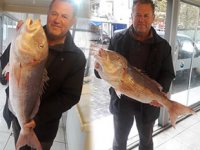 Edremit Körfezi'nde oltayla 9 kiloluk sinarit yakalandı