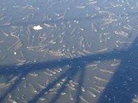 Nifrit Deresi'nde kirlilik nedeniyle balıklar oksijensiz kaldı