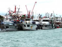 Erdemlili balıkçılar, kuvvetli rüzgar nedeniyle denize açılamadı