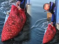 Kocaeli’de kaçak midye avcılarına operasyon düzenlendi