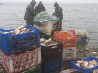 İznik Gölü, nesli tükenen kepekleme balığı kaynıyor