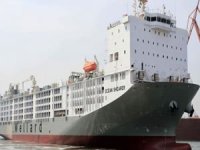 Canlı hayvan taşıma gemisi Ocean Shearer satışa sunuldu