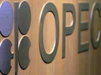 OPEC: Petrol talebinin yükselme potansiyeli var