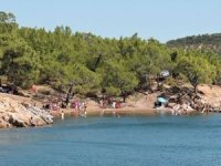 Ayvalık Tabiat Platformu’ndan ihale isyanı