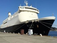 Japonya yeni karantina gemisi hazırlıyor