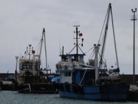 Balıkçı 'çaça avcılığı' ile ayakta duruyor