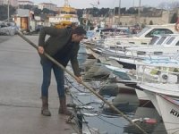 Sinop'ta kirlenen deniz yüzeyi temizlendi