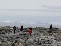 Türk ekibi Beyaz Kıta'da çalışmalara başladı