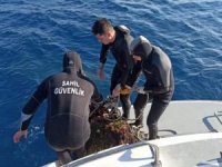 Sahil Güvenlik'ten deniz patlıcanı operasyonu