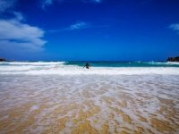 İklim değişikliği yüzyılın sonuna kadar dünya sahillerinin yarısını yok edebilir