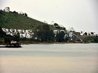 Bodrum'da deniz kahverengi oldu