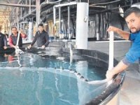 10 milyon yavru balık üretilecek