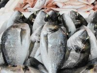 Deniz ve çiftlik balığı nasıl ayırt edilir?