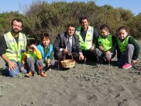 Öğrenciler sahile kum zambağı ekti