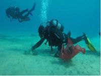 Denizin dibinden çıkanlar şok etti