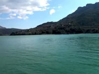 Kozan Barajı Gölü'ne 200 çift martı bırakıldı