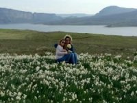 Atatürk Baraj kenarında doğal nergis bahçesi