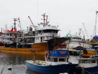 Trabzon’da 300 balıkçı karantinaya alındı