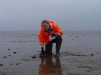 Deniz hayvanları sudaki virüsleri ortadan kaldırıyor