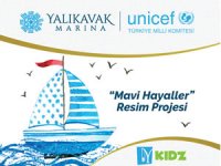 Mavi Hayaller resim projesi  başladı