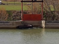 Çoruh Nehri'nde yüzen tabutlar paniğe yol açtı