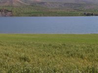 Siirt’te baraj suyu yükseldi binlerce dönüm ekili arazi sular altında kaldı