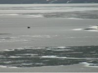 Ahlat’taki Nazik Gölü 'kesin korunacak hassas alan' ilan edildi