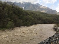 Şırnak'ta taşan derede balık yakaladılar